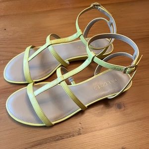 Talbots Sandals - Daisy Gladiator